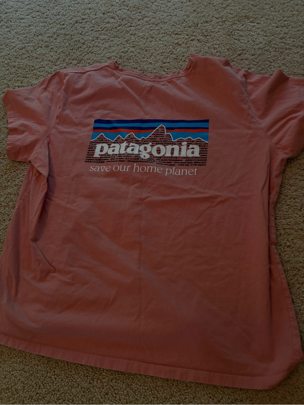 Patagonia Kids Pink Graphic Tee with Mountain Logo